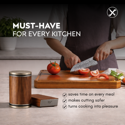 Diamond Knife Sharpener for Home Kitchen SharpenX